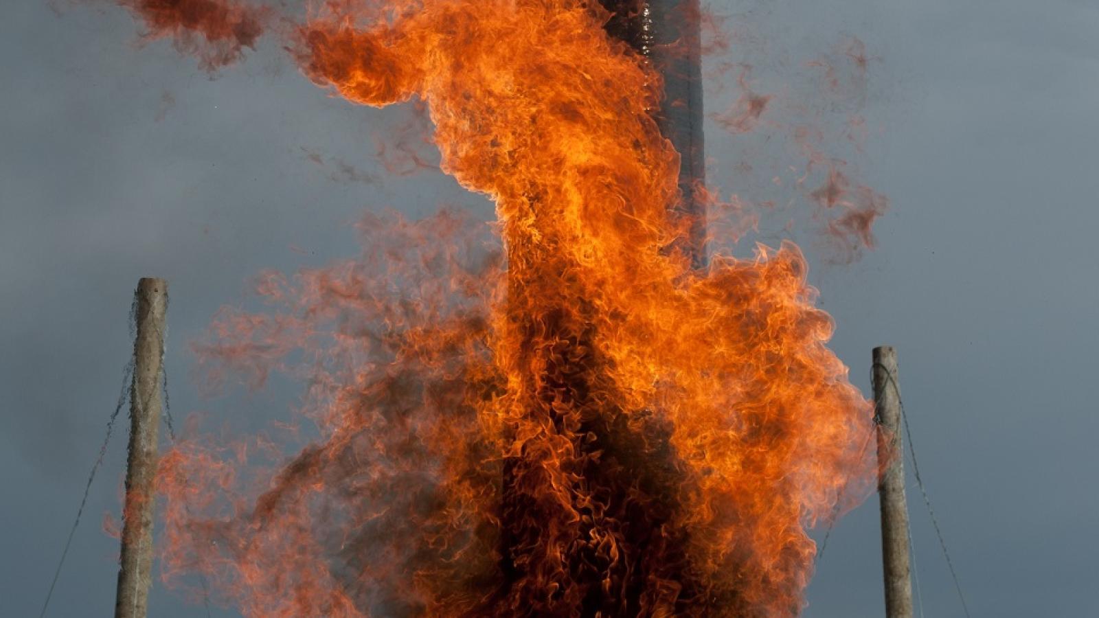 Fire Shield Products Landing