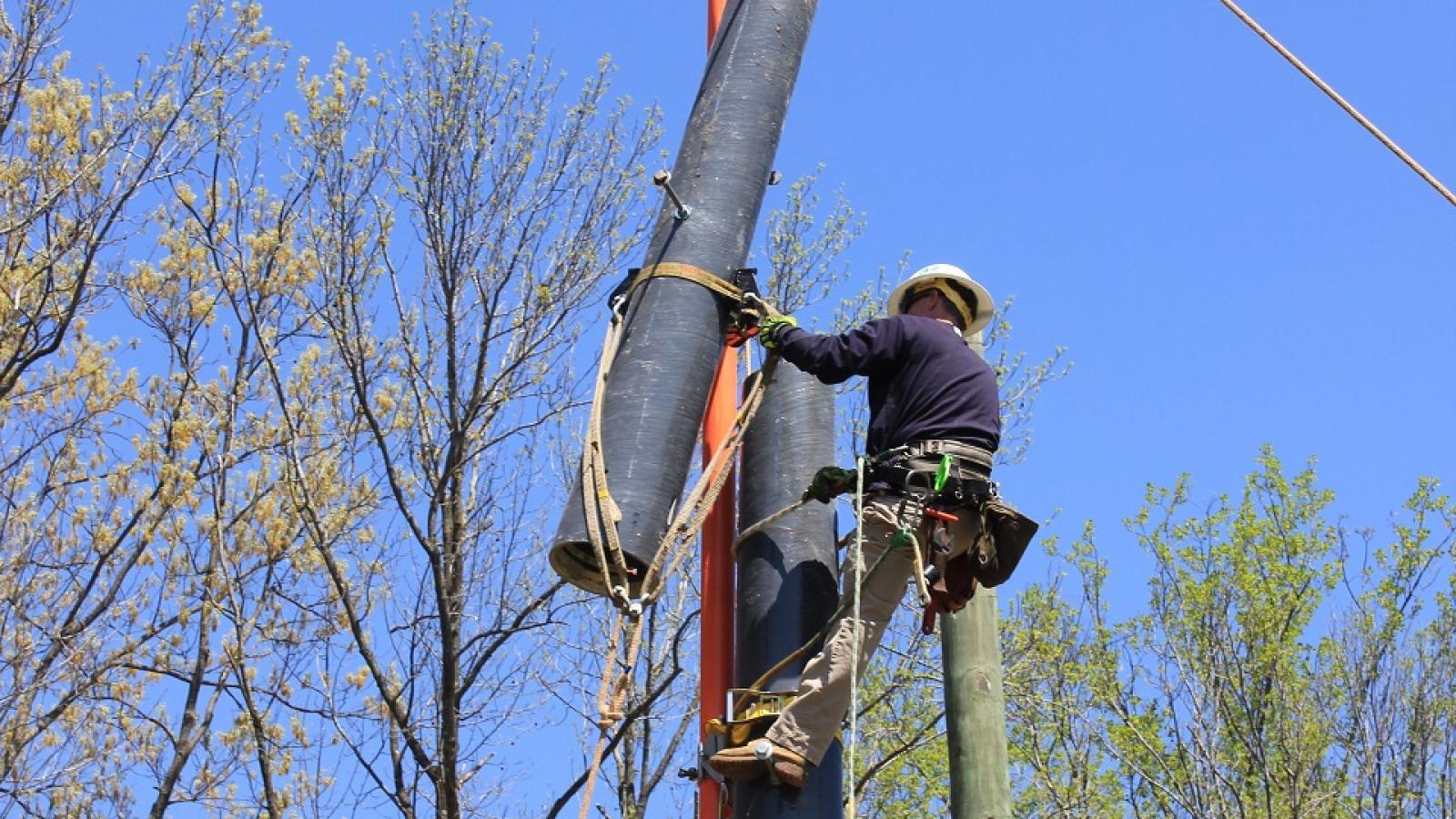 Gin Pole Products Landing