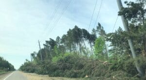 Damage Poles