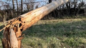 Damage Poles